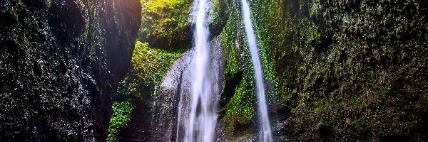Indonezja, Omszałe, Skały, Madakaripura Waterfall, Wodospad, Wyspa Jawa, Drzewa