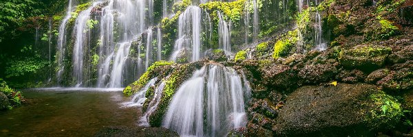 Kaskada, Las, Roślinność, Omszone, Indonezja, Kamienie, Banyu Wana Amertha Wasserfall, Bali, Wodospad, Rzeka, Prowincja Wanagiri