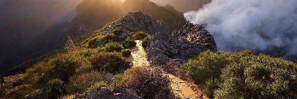 Góra, Madera, Kamienna, Ścieżka, Zachód słońca, Pico Arieiro, Krzewy, Portugalia