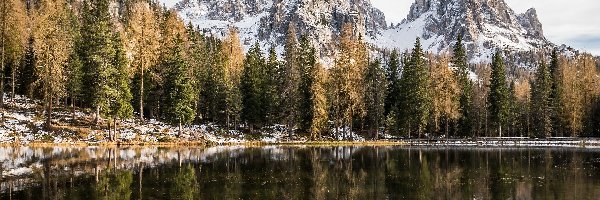 Dolomity, Antorno Lake, Włochy, Prowincja Belluno, Góry, Masyw Tre Cime di Lavaredo, Drzewa, Jezioro