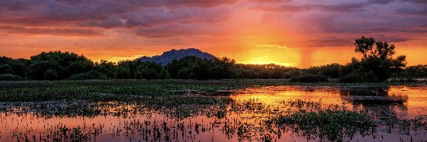 Stany Zjednoczone, Jezioro, Hrabstwo Yavapai, Góry, Prescott, Szuwary, Drzewa, Zachód słońca, Willow Lake, Arizona