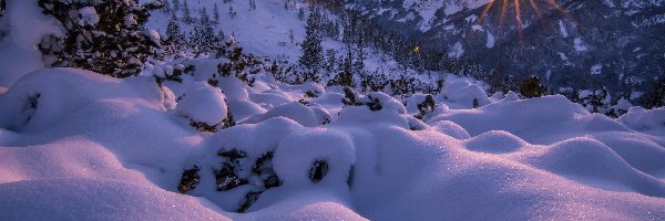 Austria, Promienie słońca, Zima, Alpy, Góry, Drzewa, Zaspy