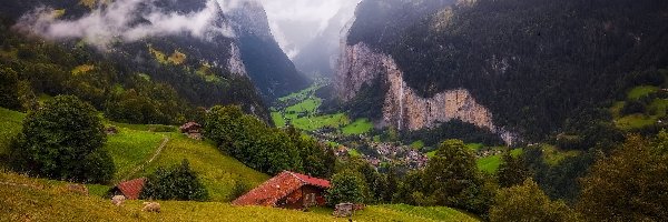 Domy, Mgła, Alpy, Góry, Szwajcaria, Owce, Drzewa, Dolina Lauterbrunnental, Łąka