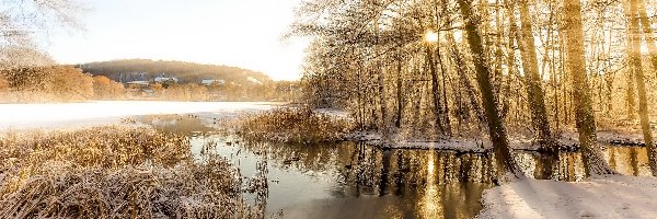 Przebijające światło, Jezioro, Drzewa, Śnieg, Zima, Domy, Trawa