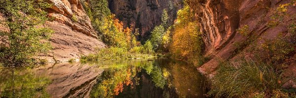 Drzewa, Sedona, Skały, Arizona, Stany Zjednoczone, West Fork of Oak Creek, Wąwóz