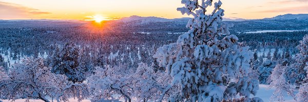 Zima, Drzewa, Śnieg, Promienie słońca, Góry