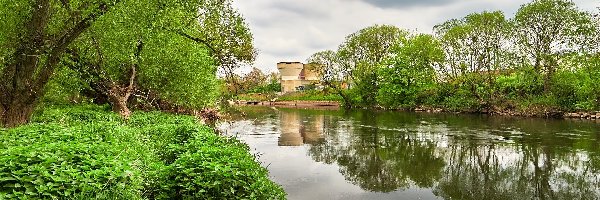 Rośliny, Nahe River, Niemcy, Bad Kreuznach, Drzewa, Kominy, Odbicie, Rzeka