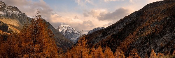Chmury, Drzewa, Jesień, Szwajcaria, Alpy Pennińskie, Góry