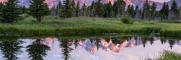 Trawa, Drzewa, Lato, Teton Range, Stany Zjednoczone, Rzeka, Odbicie, Stan Wyoming, Snake River, Góry, Park Narodowy Grand Teton