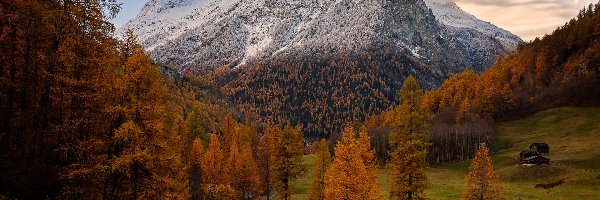 Drzewa, Pożółkłe, Grande Dent de Veisivi, Góra, Góry, Szwajcaria, Chmury, Rzeka, Jesień