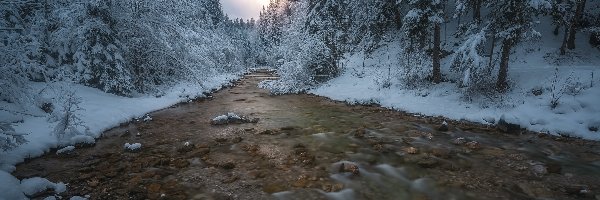 Rzeka, Ośnieżone, Drzewa, Kamienie, Las, Zima