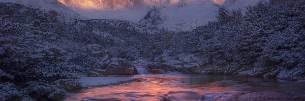 Krzewy, Zima, Kamienie, Góry, Argentyna, Rozświetlony, Rzeka, Patagonia, Szczyt Fitz Roy, Park Narodowy Los Glaciares, Skały