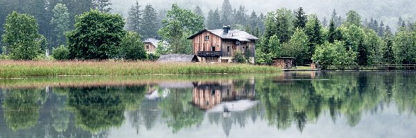 Góry, Las, Austria, Grunau im Almtal, Drzewa, Mgła, Jezioro Almsee, Domy