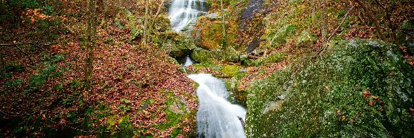 Stany Zjednoczone, Drzewa, Wodospad, Skarpa, Skały, Stan Wirginia, Crabtree Falls