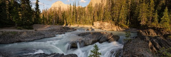 Skały, Drzewa, Kicking Horse River, Rzeka, Park Narodowy Yoho, Kanada, Kolumbia Brytyjska, Góry Skaliste, Chmury