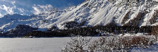 Szwajcaria, Alpy Szwajcarskie, Jezioro Silsersee, Góry, Ośnieżone, Kanton Gryzonia, Krzewy