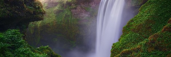 Islandia, Roślinność, Wodospad Skogafoss