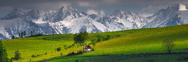 Tatry, Góry, Kacwin, Gmina Łapsze Niżne, Polska, Kaplica Matki Bożej Śnieżnej, Drzewa, Ośnieżone, Pola