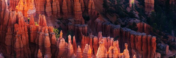 Kanion, Park Narodowy Bryce Canyon, Skały, Stany Zjednoczone, Utah