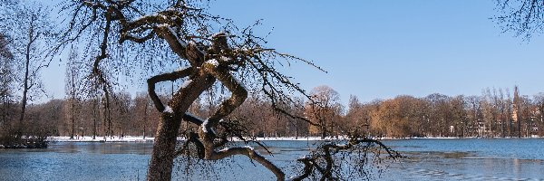 Zima, Drzewa, Jezioro, Śnieg, Park