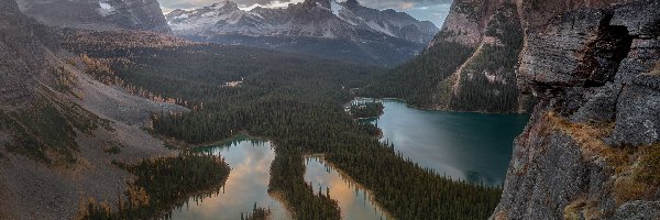 Las, Kolumbia Brytyjska, Chmury, Góry, Jeziora, Mary Lake, Lake OHara, Kanada, Park Narodowy Yoho, Drzewa