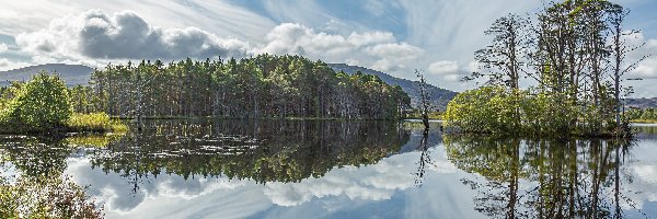 Odbicie, Loch Mallachie, Drzewa, Szkocja, Jezioro, Góry