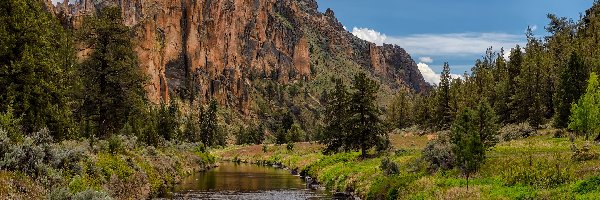 Drzewa, Góry, Stany Zjednoczone, Stan Oregon, Smith Rock, Skały, Rzeka Crooked River, Smith Rock State Park