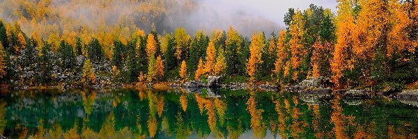 Mgła, Drzewa, Jesień, Odbicie, Jezioro, Góry