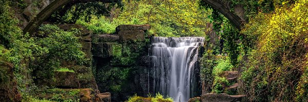 Most, Jesmond Dean Waterfall, Anglia, Newcastle, Drzewa, Kamienie, Rośliny, Wodospad