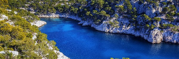 Francja, Skały, Zatoka, Góry, Drzewa, Cassis, Calanque de Port Miou