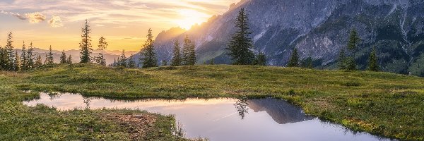 Wschód słońca, Kałuża, Drzewa, Austria, Alpy, Góry