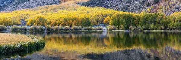 Odbicie, Góry, Stany Zjednoczone, Chmury, Trawy, Drzewa, Kamienie, Jezioro North Lake, Sierra Nevada, Kalifornia