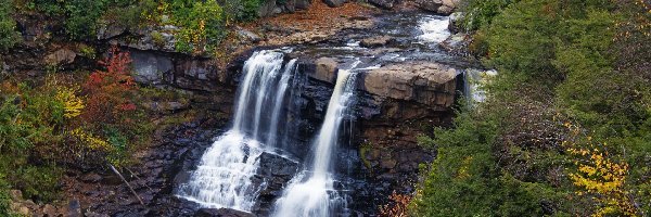 Jesień, Stan Wirginia Zachodnia, Wodospad Blackwater Falls, Skały, Park stanowy Blackwater Falls, Drzewa, Las, Stany Zjednoczone