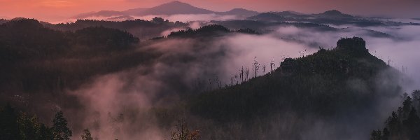 Skała, Mgła, Czechy, Jetrichovice, Drzewa, Formacja Mariina skala, Park Narodowy Czeska Szwajcaria, Góry