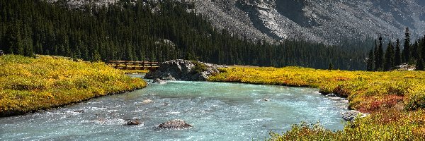 Stany Zjednoczone, Góry Skaliste, Rzeka, Pasmo górskie, Góry, Wyoming, Dinwoody Creek