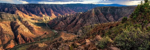 Stany Zjednoczone, Skały, Drzewa, Sycamore Canyon, Kanion, Arizona, Roślinność