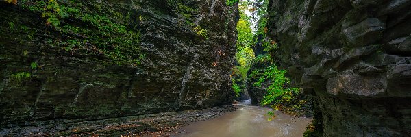 Nowy Jork, Rzeka Glen Creek, Watkins Glen State Park, Stany Zjednoczone, Skały, Wąwóz