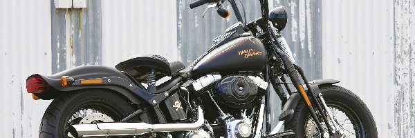 Harley Davidson Softail Cross Bones