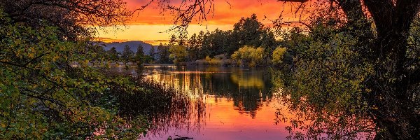 Drzewa, Jezioro, Stany Zjednoczone, Stan Arizona, Goldwater Lake, Gałęzie, Prescott, Zachód słońca