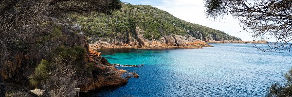 Wybrzeże, Sleepy Bay, Drzewa, Skały, Morze, Australia, Tasmania, Zatoka, Park Narodowy Freycineta