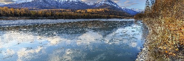 Alaska, Matanuska River, Drzewa, Stany Zjednoczone, Rzeka, Góry