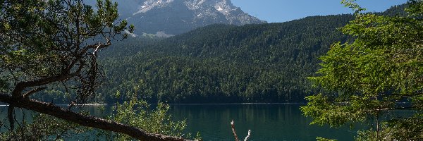Drzewa, Góry, Jezioro, Niebo, Lasy
