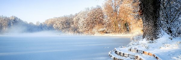 Jezioro, Mgła, Drzewa, Zima