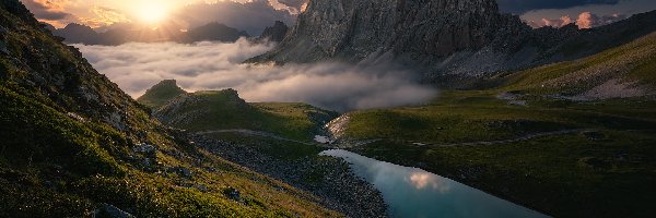 Roślinność, Alpy Kotyjskie, Włochy, Chmury, Szczyt Rocca la Meja, Mgła, Wschód słońca, Góry