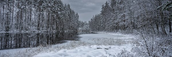 Las, Śnieg, Chmury, Krzewy, Rzeka, Ośnieżone, Drzewa, Zima