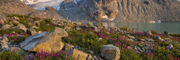 Kanada, Kwiaty, Kamienie, Jezioro Wedgemount, Góry, Kolumbia Brytyjska, Park prowincjonalny Garibaldi