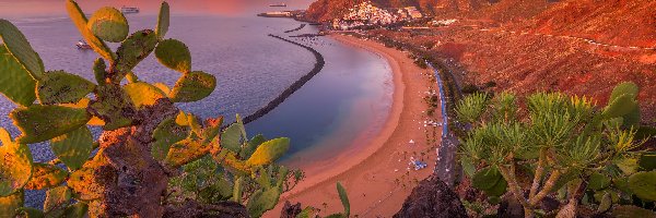 Hiszpania, Góry, Kaktusy, Playa de Las Teresitas, Plaża, Teneryfa, Wyspy Kanaryjskie