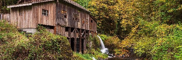 Woodland, Rzeka, Drzewa, Stany Zjednoczone, Cedar Creek Grist Mill, Młyn