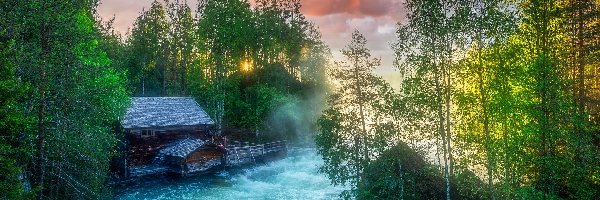 Park Narodowy Oulanka, Młyn Myllykoski, Drzewa, Zielone, Las, Finlandia, Laponia, Rzeka, Gmina Kuusamo