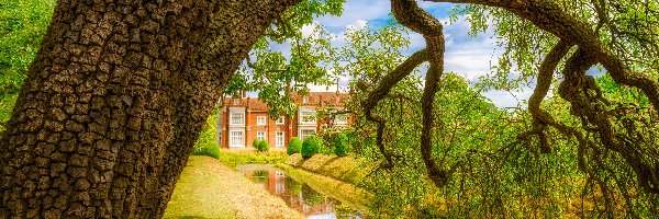 Anglia, Dom, Dworek Helmingham Hall, Gałęzie, Drzewa, Suffolk, Fosa